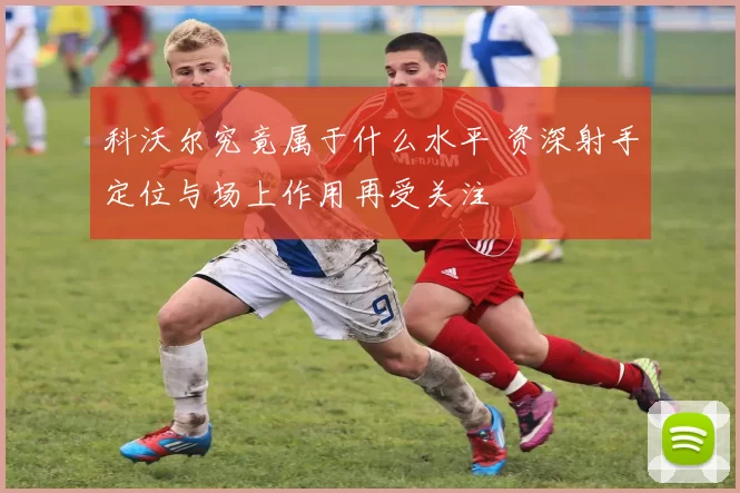 科沃尔究竟属于什么水平 资深射手定位与场上作用再受关注