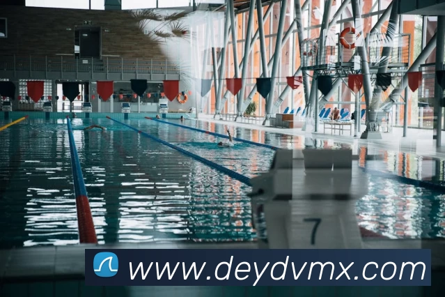 世界杯中国官网发展历程